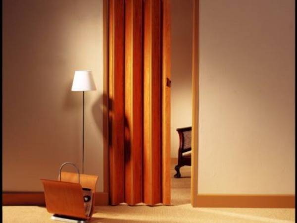 Особенности и фото межкомнатных дверей гармошка с фото