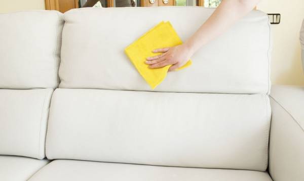 Чем можно вывести запах мочи с дивана - фото