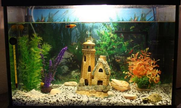 Как можно чистить аквариум в домашних условиях с фото
